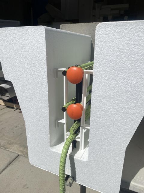 Close-up: the vertical tie on the form edge, bar in place. 14 May 2023.